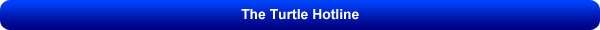 turtle hotline